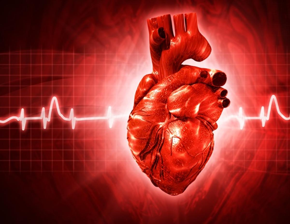 Childhood Factors Causing Later Menarche Impact Lifelong Adult Health