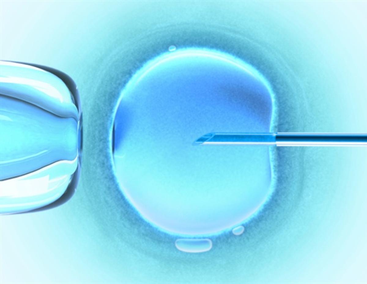 New Study Links Primary Infertility to Accelerated Reproductive Aging