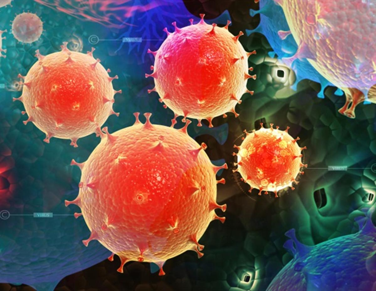 Novel Technique Enables Rapid Sequencing of Rare Hantaviruses