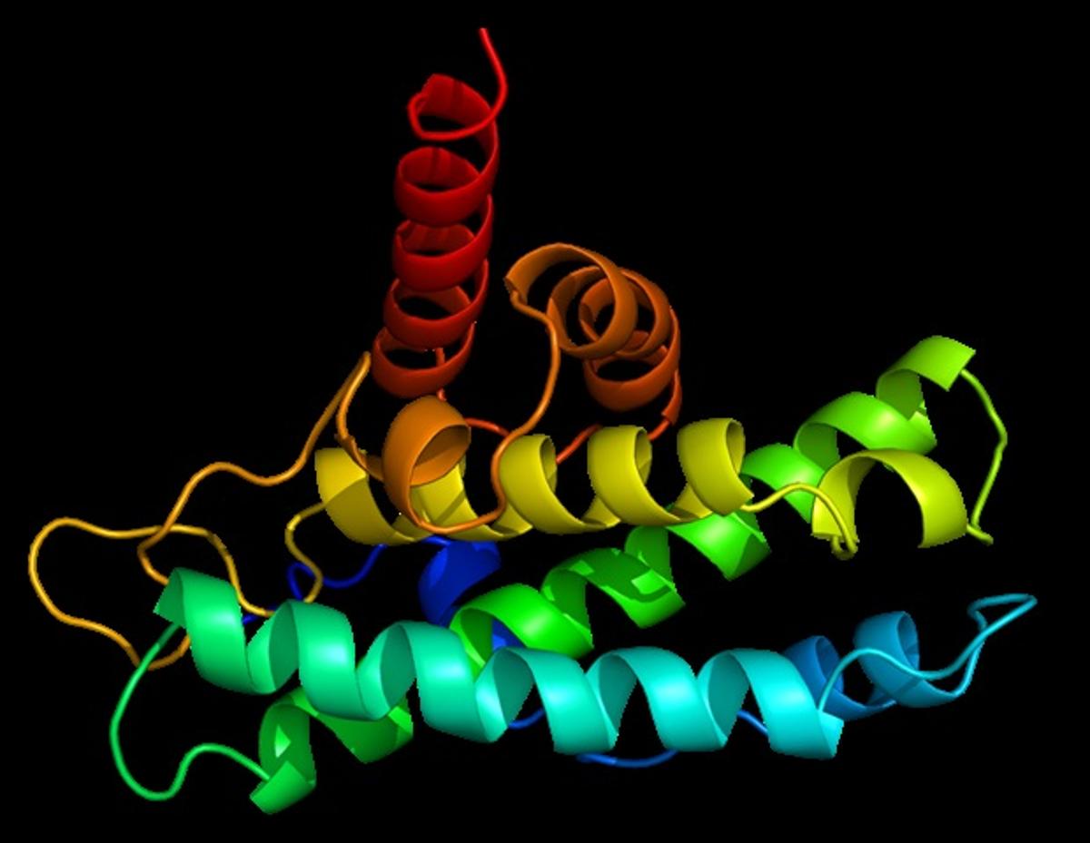 Novel Technology Maps Single-Cell DNA-Protein Interactions