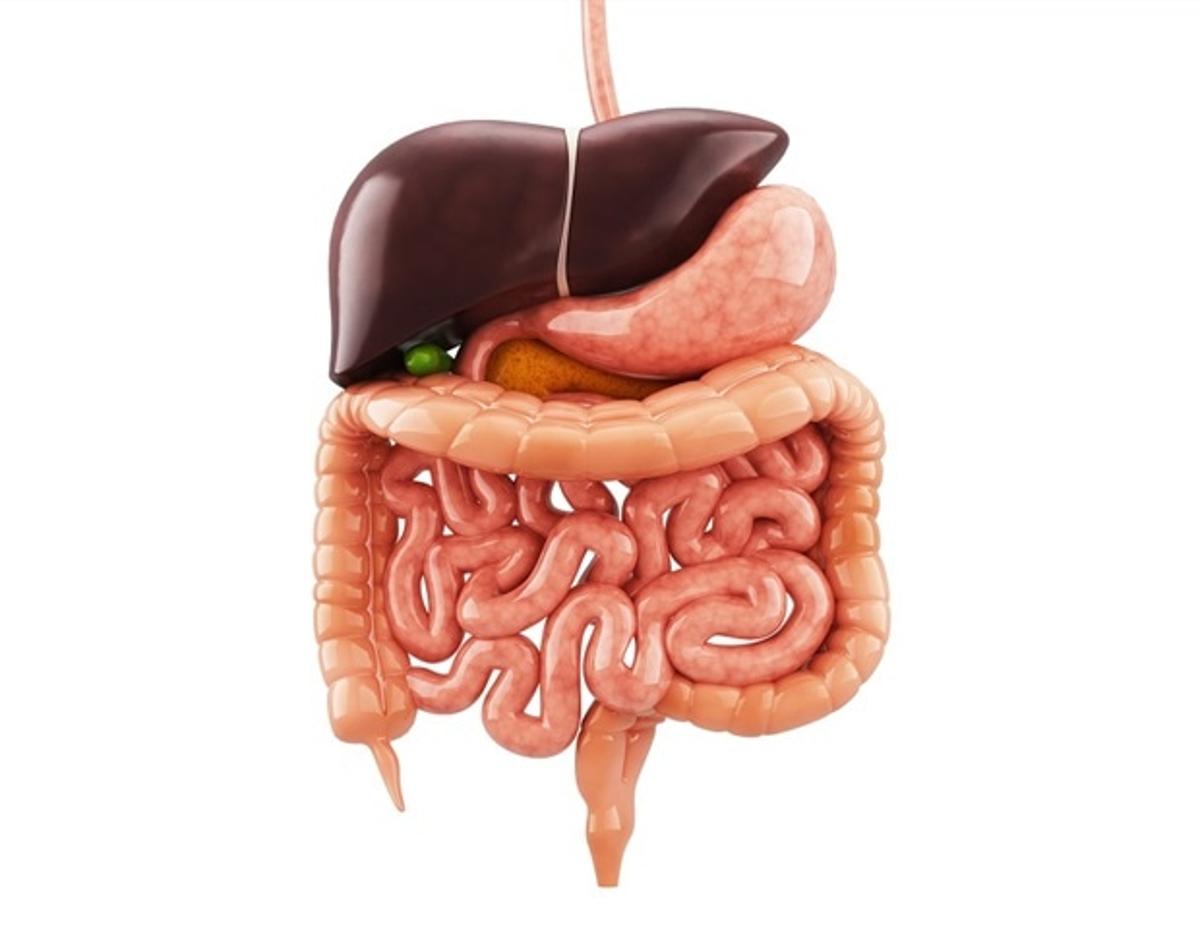 New Genetic Driver Found for Rare Small Intestinal Cancers