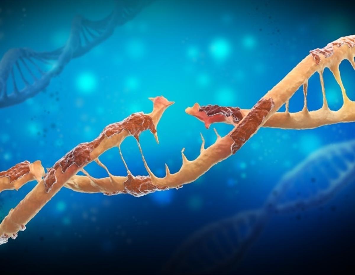 Three Decades of Progress Since the Discovery of Senescence-Associated Beta-Galactosidase