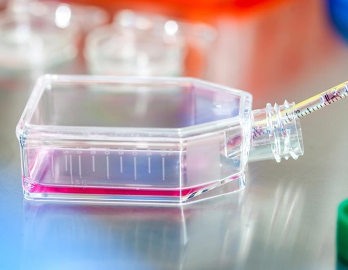FUJIFILM Biosciences and NextCell Launch New Commercial Platform Comprised of RUO Stromal Cells and Cell Culture Media