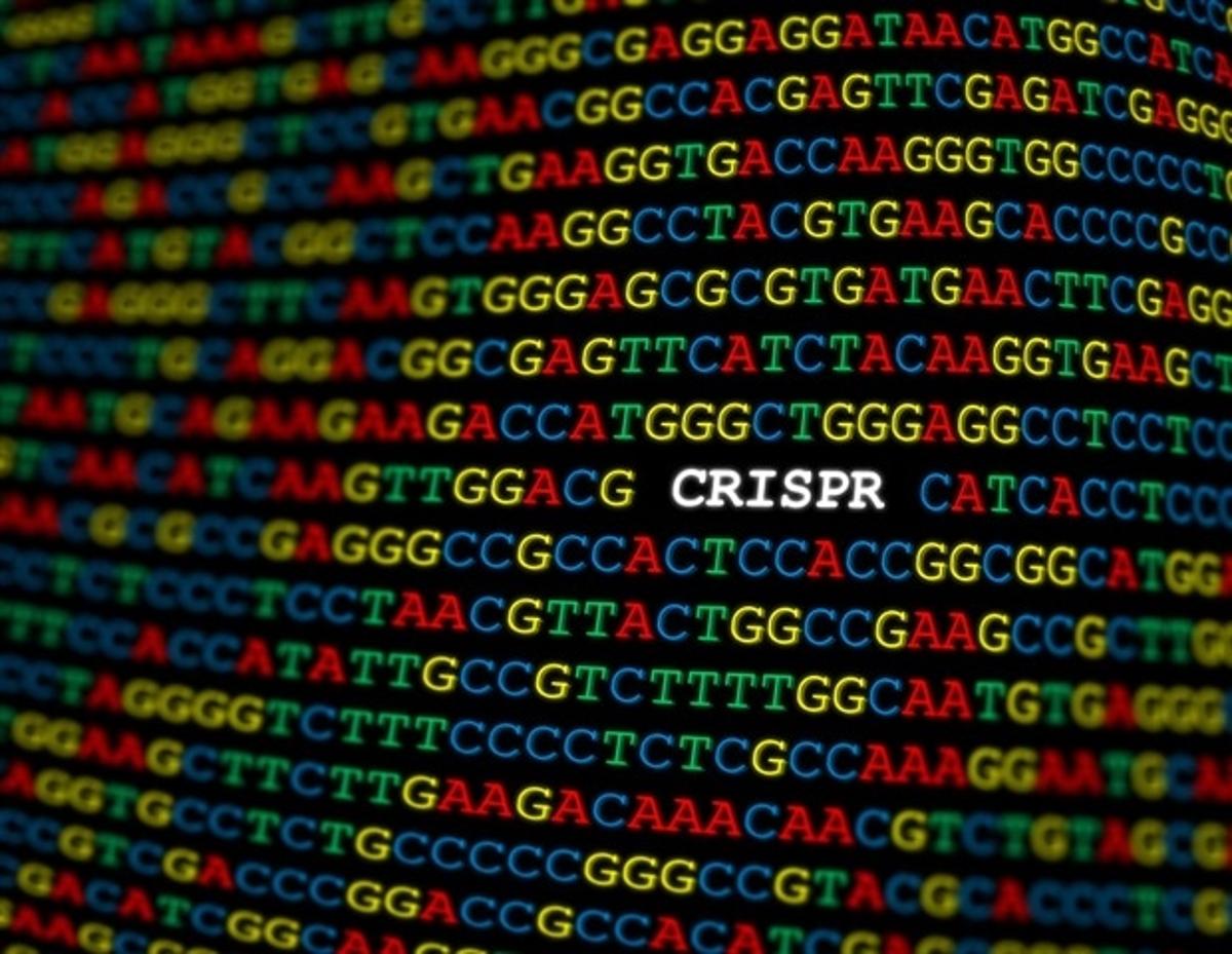 Phase 3 Study of in Vivo CRISPR Therapy for Hereditary Angioedema Successfully Completed