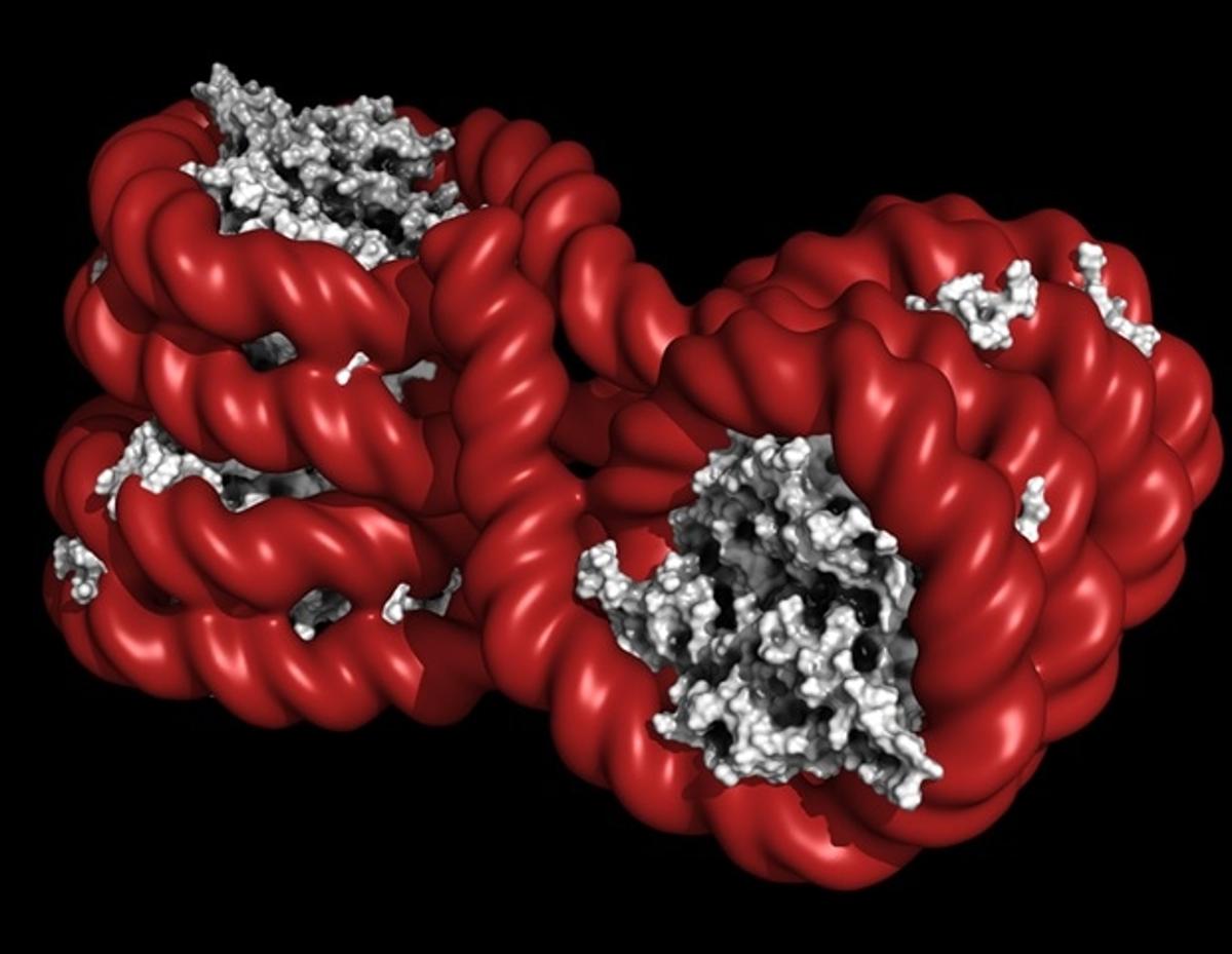 RNA Regulator RBM15 Linked to Immunity, Metabolism, and Cancer Progression