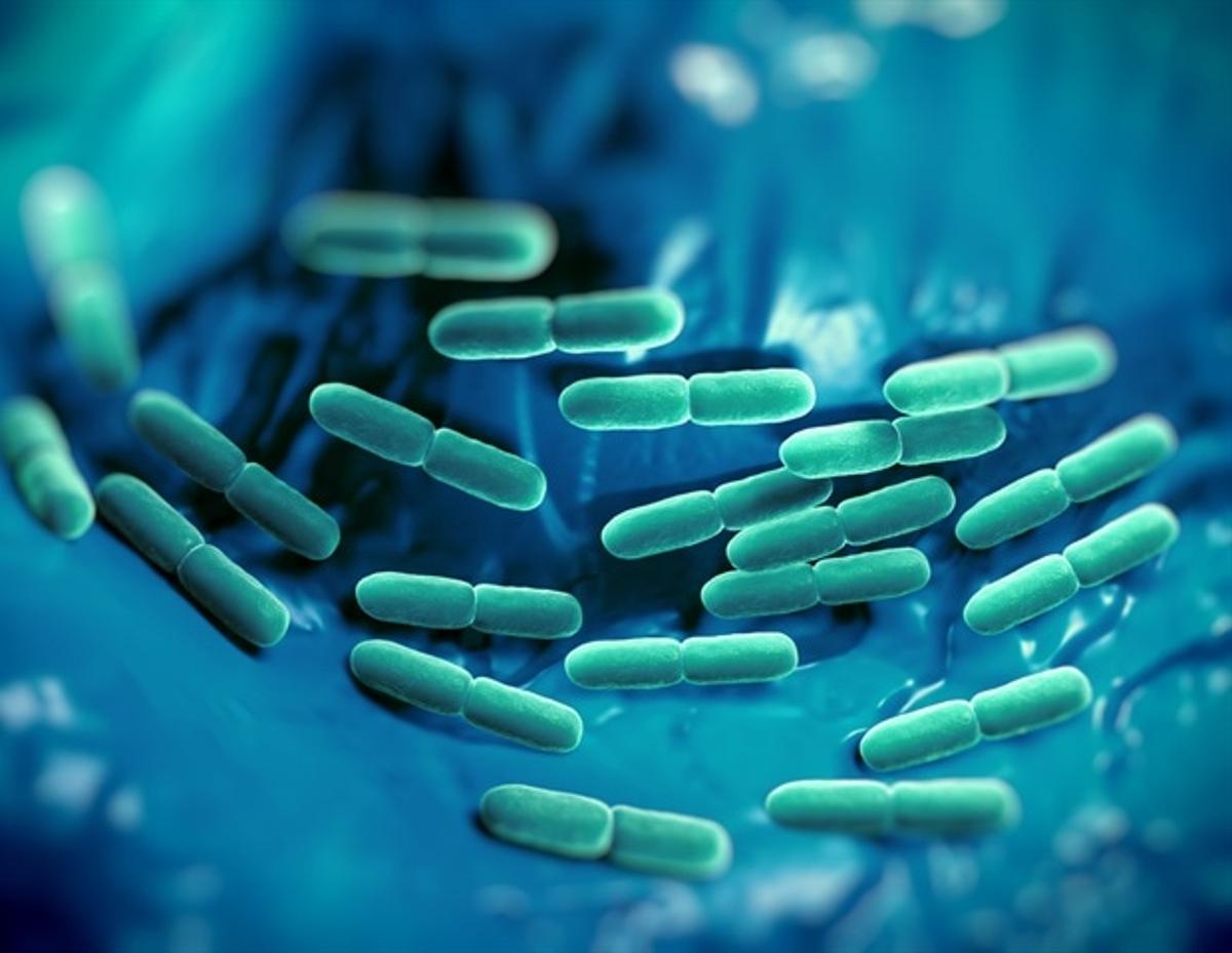 WHO-Recommended Antibiotics Ineffective for Many Neonatal Sepsis Cases