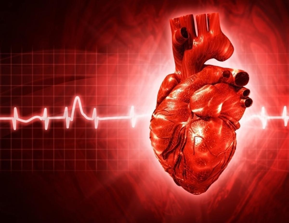 Study Traces Adult Heart Disease Risk Back to the Womb