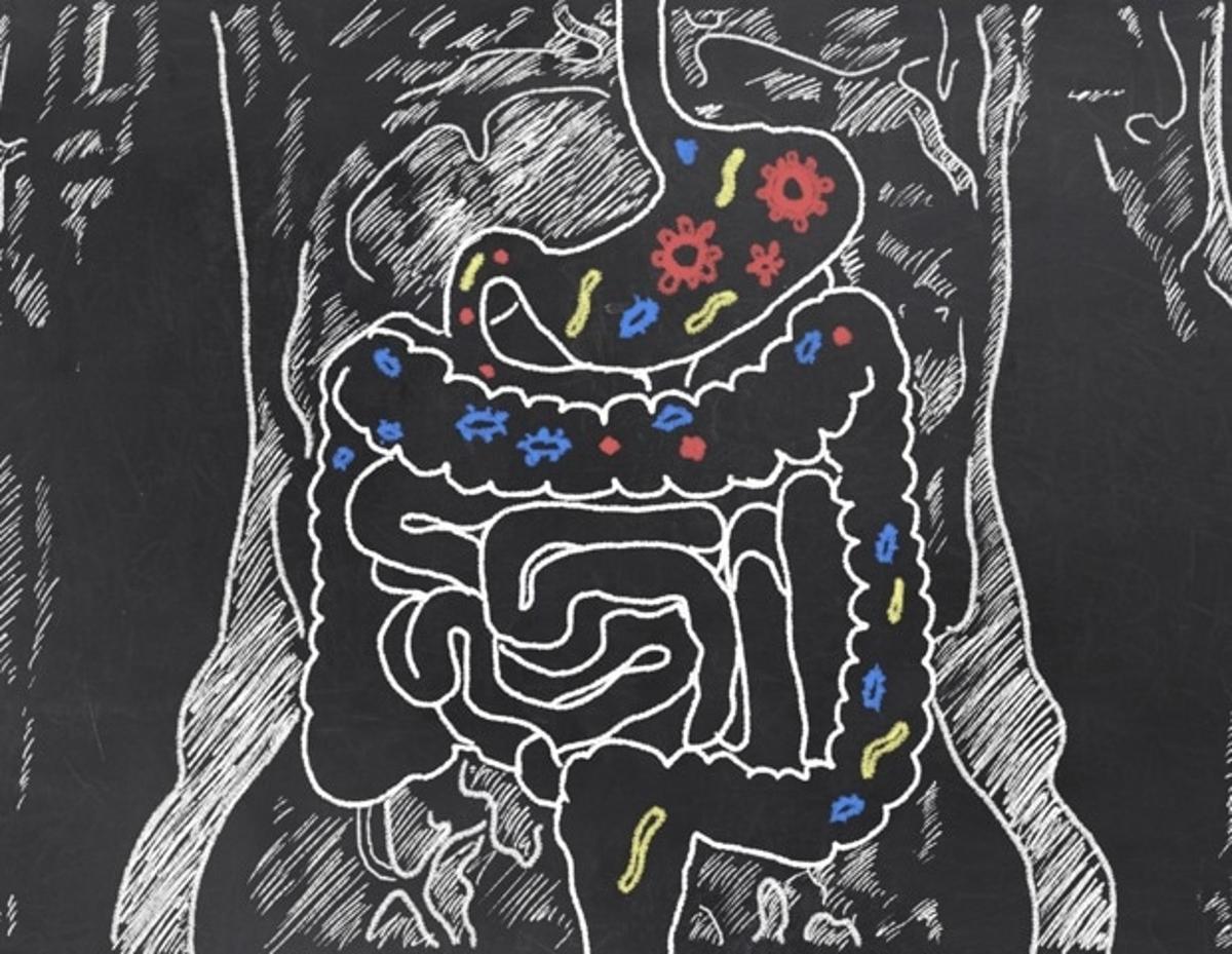 Stanford Scientists Map the Molecular Diversity of Different Global Populations