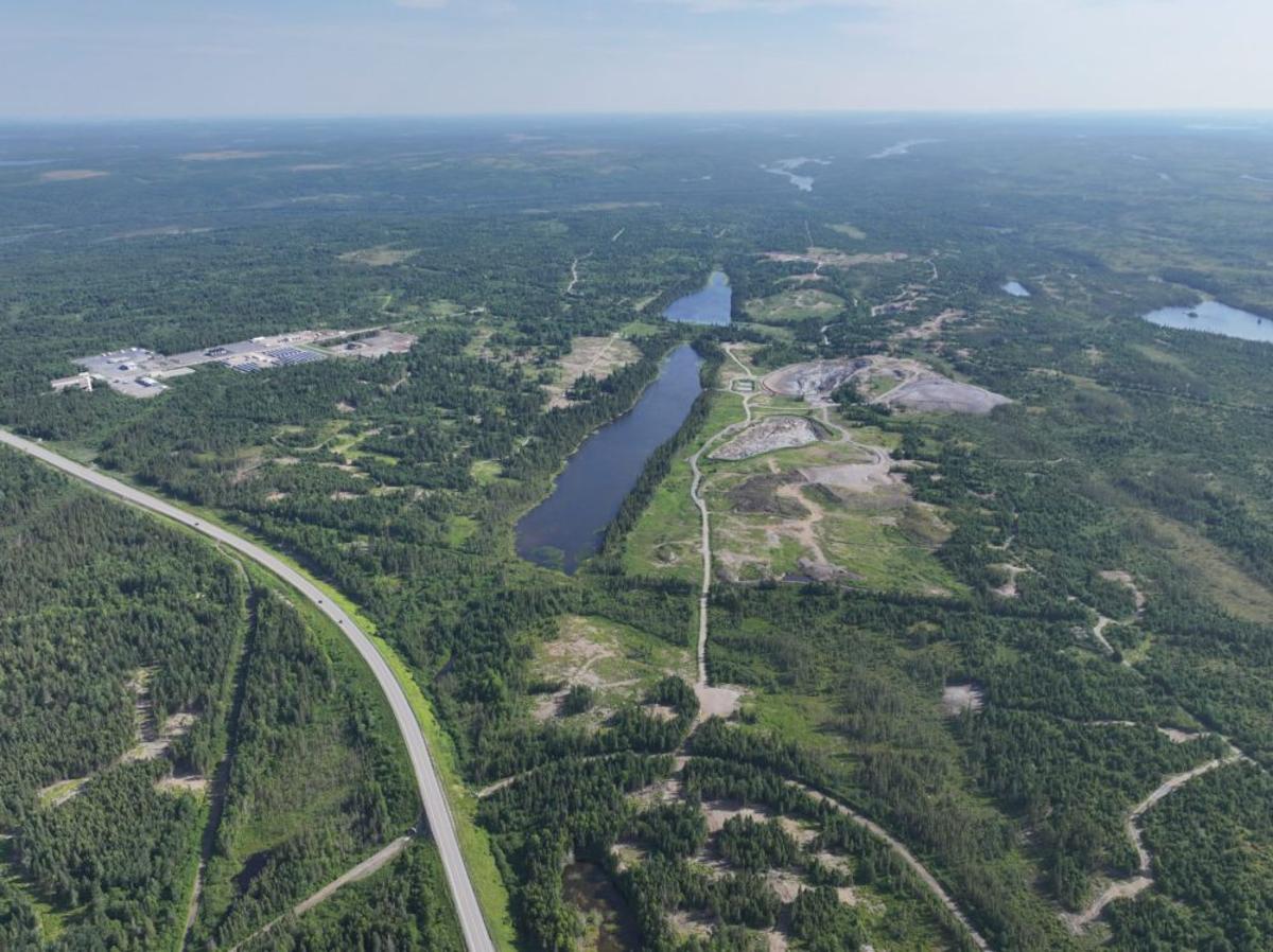 New Found Gold Expands High-Grade Dropkick Zone