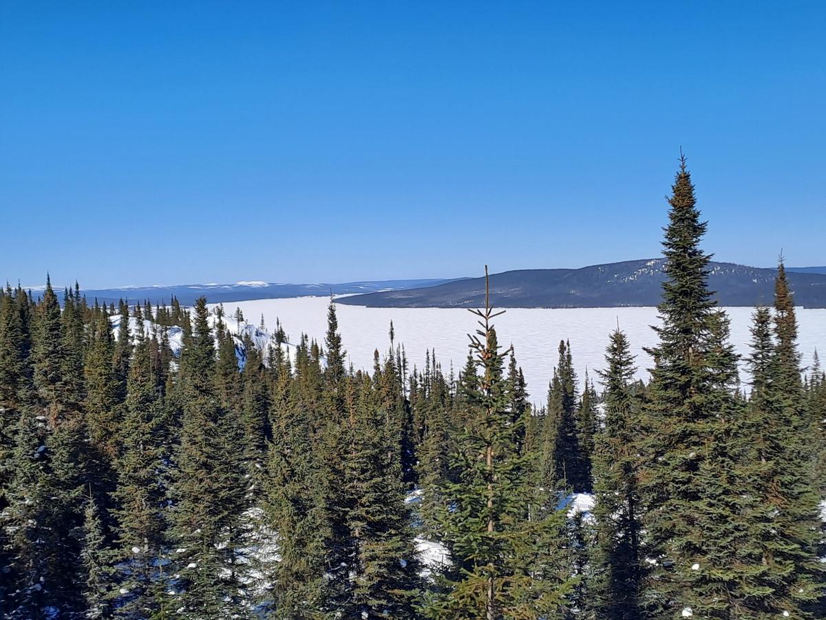 Metals Australia Eyes $1.3B Quebec Graphite Refinery