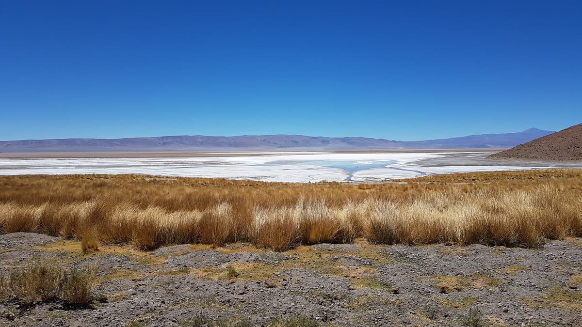 Argentina Lithium Gets $100M to Advance Rincon West