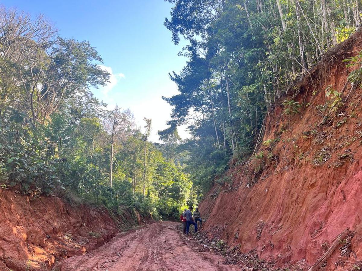 La Mancha Resource Capital Invests $37M to Acquire 19.9% Stake in Greenheart Gold