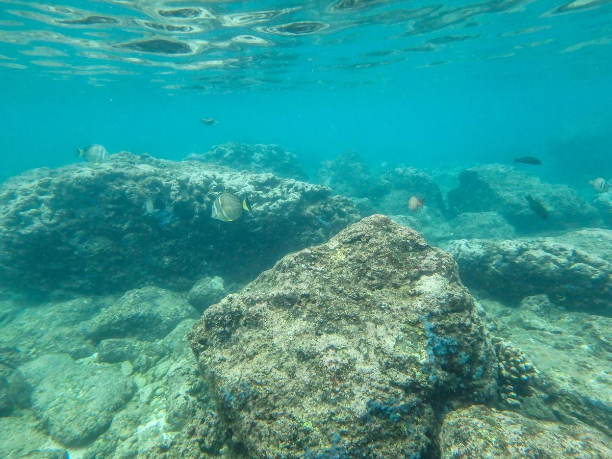 Deep Sea Minerals to List on Nasdaq