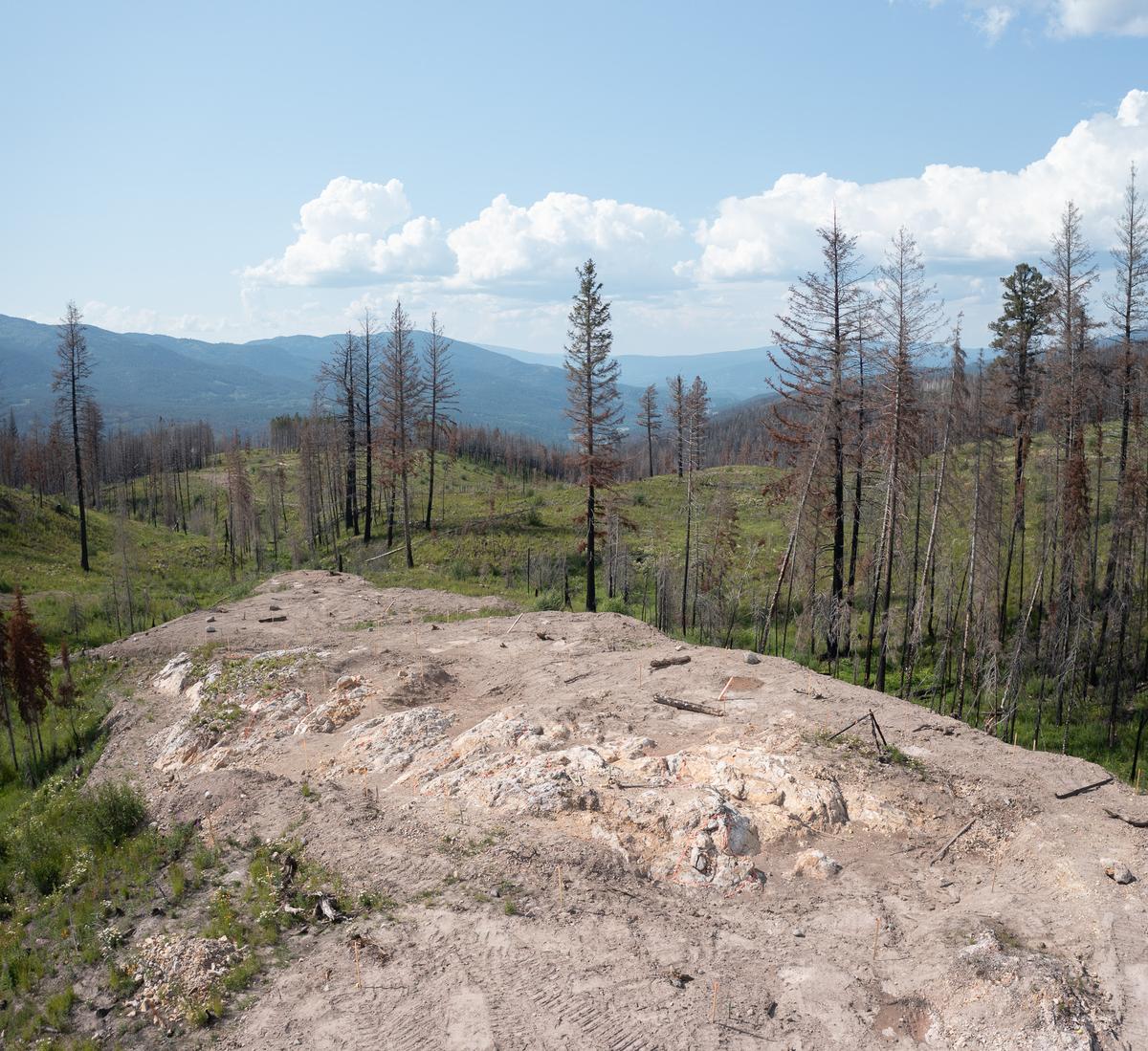 Drilling 17g Shines Westhaven Gold’s Shovelnose Crown