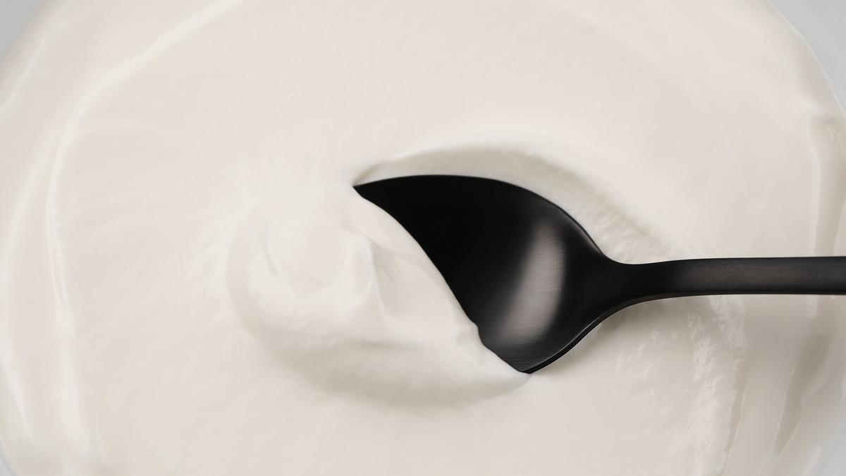 Probiotic-Fermented Yogurt Improves Glucose Control, Gut Microbiota: Meiji Study
