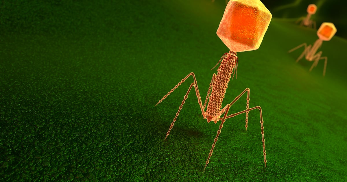 From Bench to Biome: CRISPR Phages Could Precision Edit the Microbiome