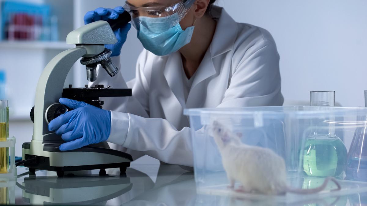 Anti-Aging Benefits of PQQ May Extend Beyond Antioxidant Effects, New Research Finds