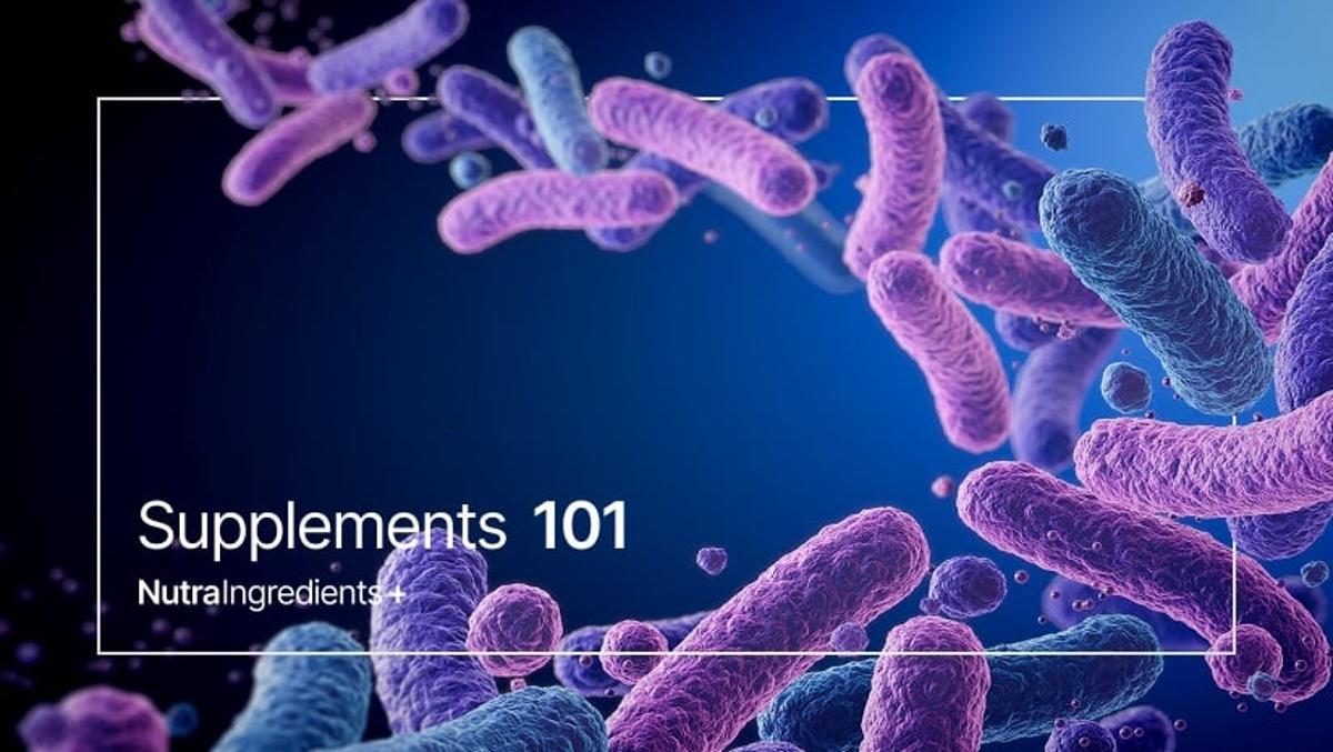 Supplements 101: Biotic Regulations in the European Union