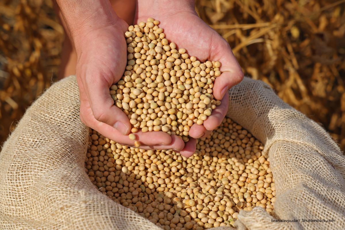 Heart Health Claim for Soy Protein in ANZ Set to Accelerate Innovation – IFF
