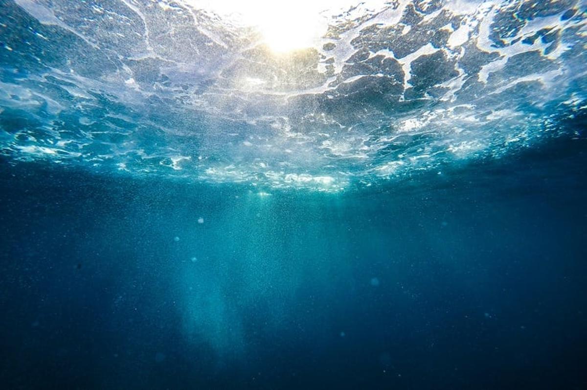 Chinese Ministries Team up to Drive R&D of Functional Marine Ingredients