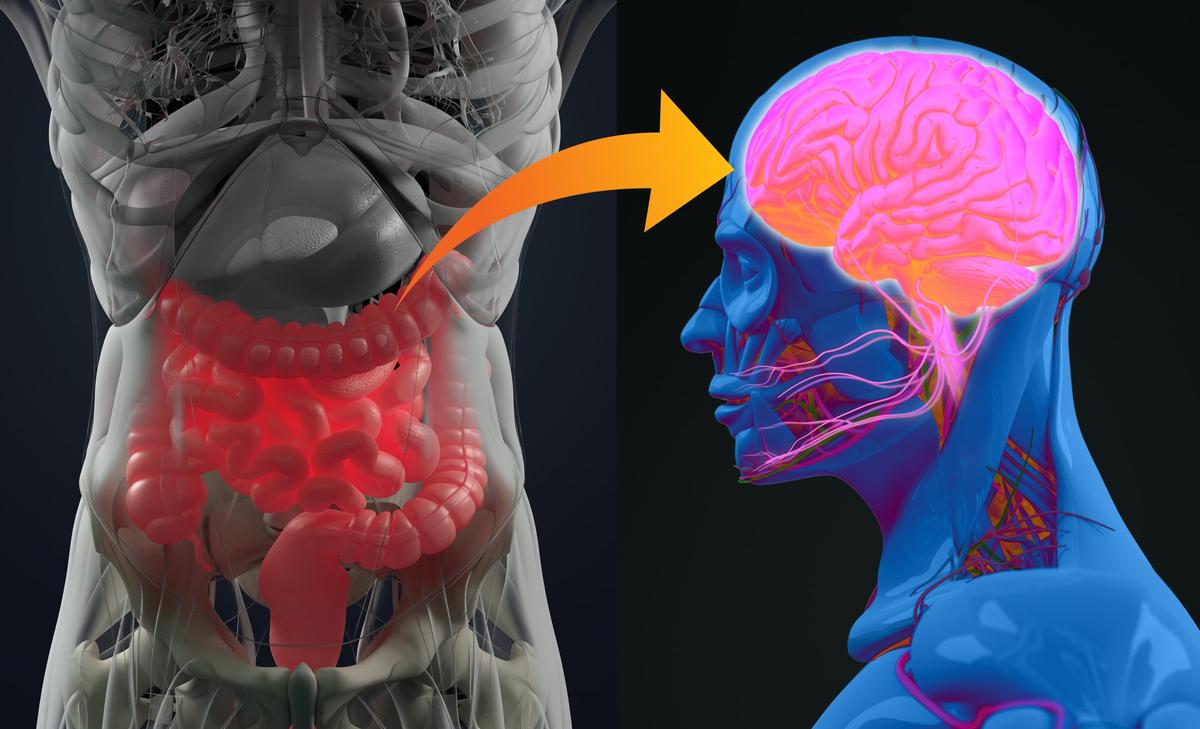 ADM Research Highlights Microbial Benefits for Psychological Symptoms