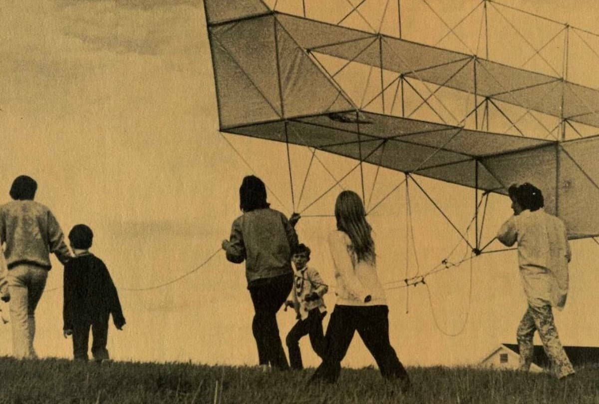 A Clearing of the Ground