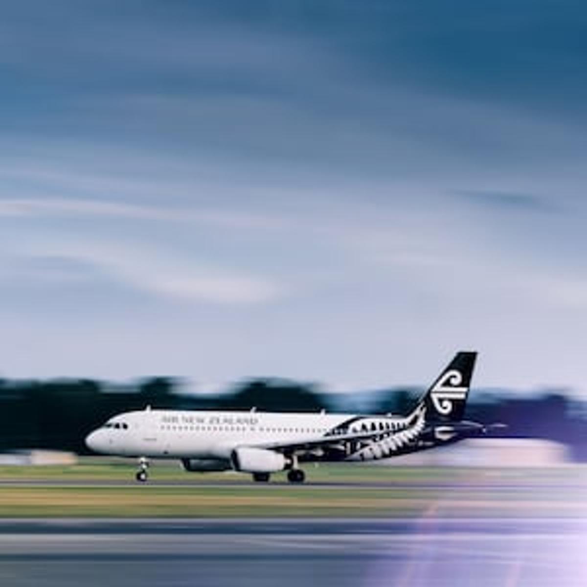 Air New Zealand Is the Worst of Both Worlds – Nick Stewart