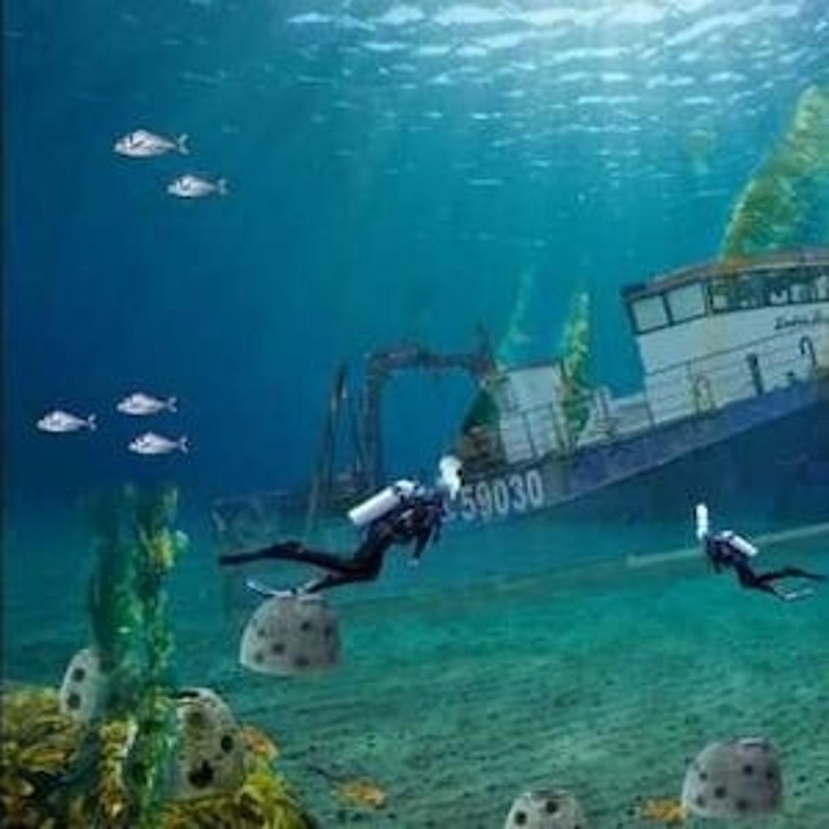 Napier: Twofold Bay Trawler Sinking and Reef Project Full Steam Ahead