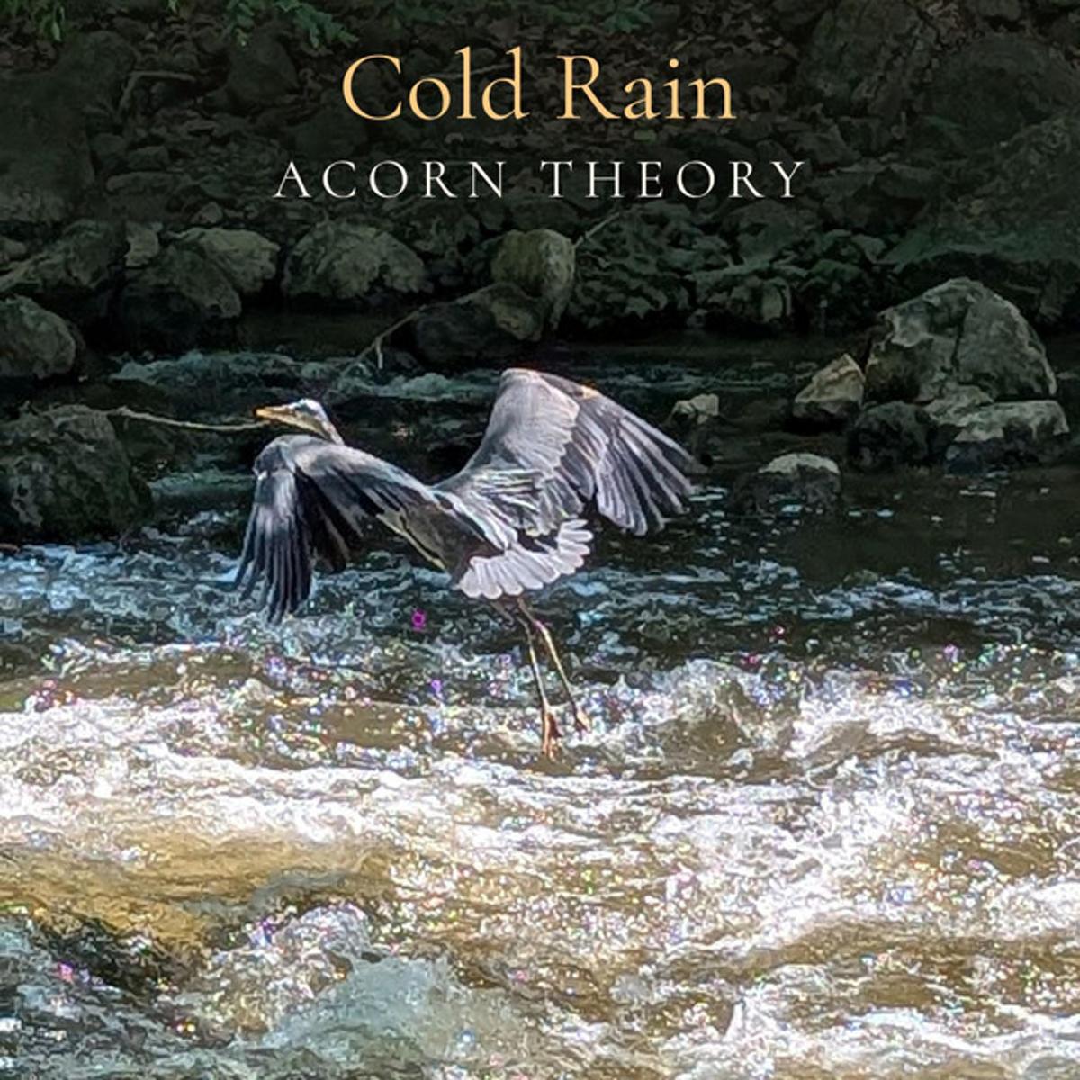 Acorn Theory – “Cold Rain”