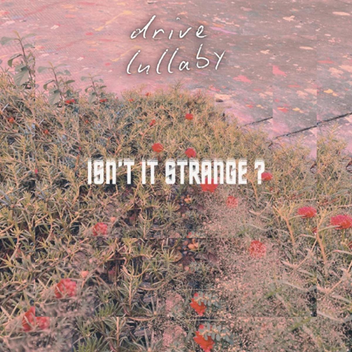 Drive Lullaby – “Isn’t It Strange?”
