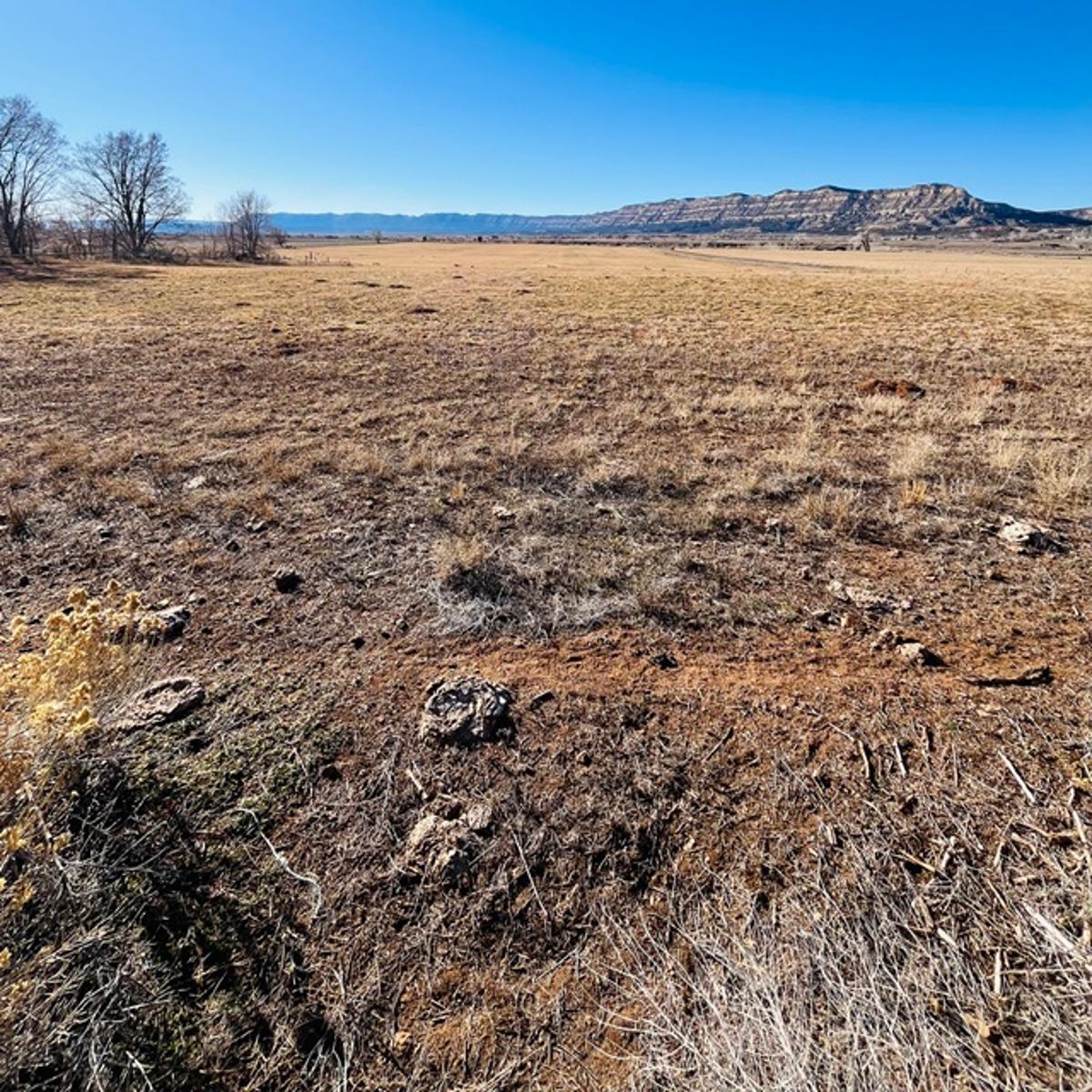 Danny Django – “Oh Me Oh My”