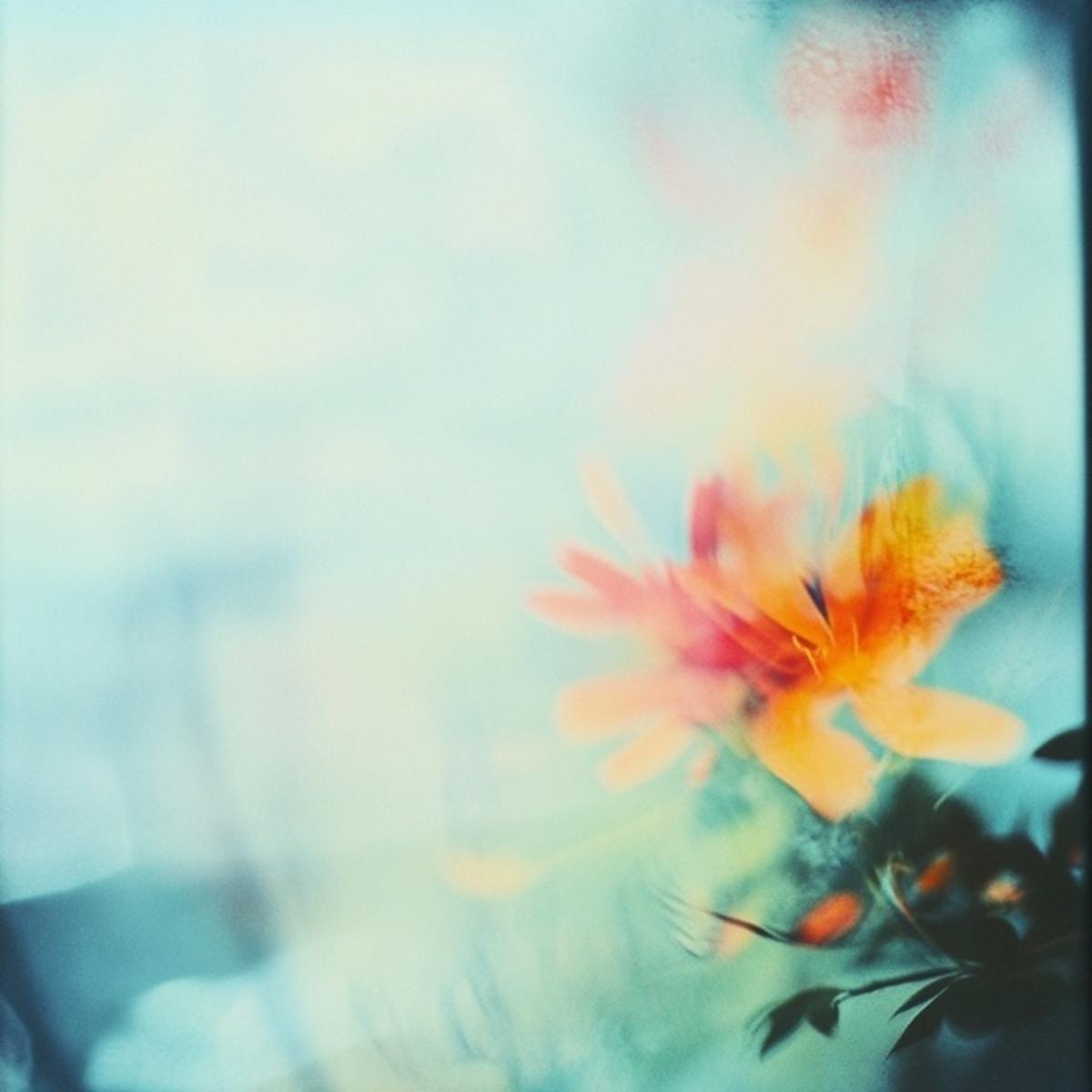 SYLIANRUE – ‘Reflection’