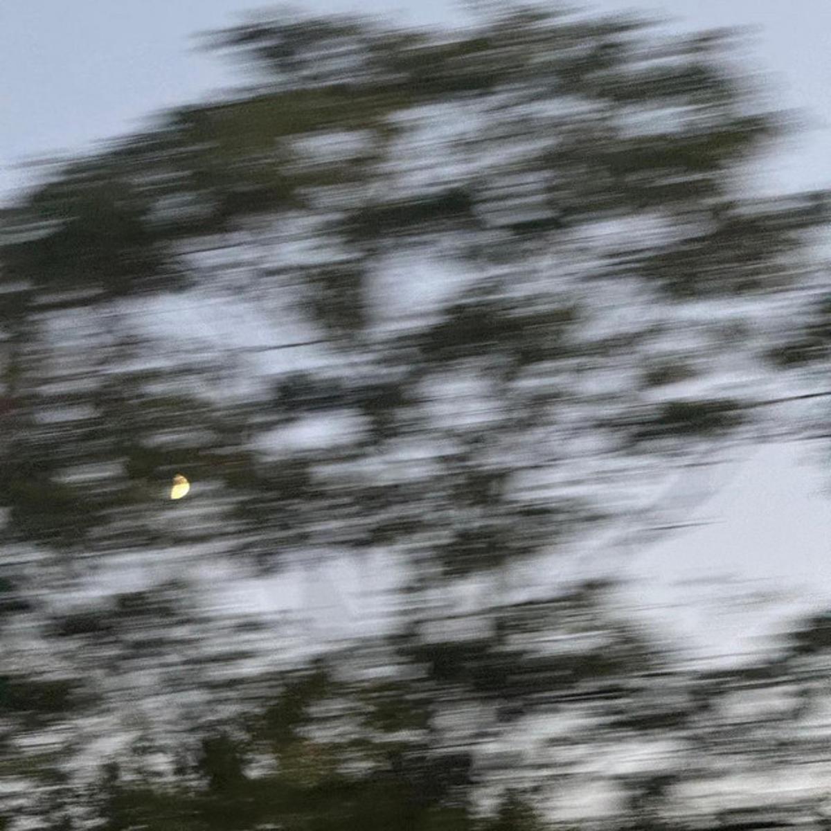 Screen Room – “Celine”