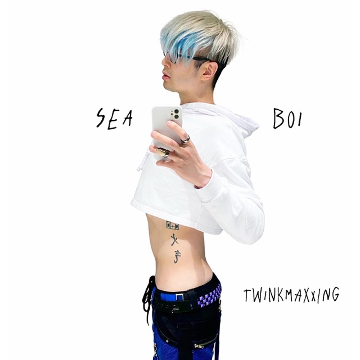 Seaboi – ‘Twinkmaxxing’
