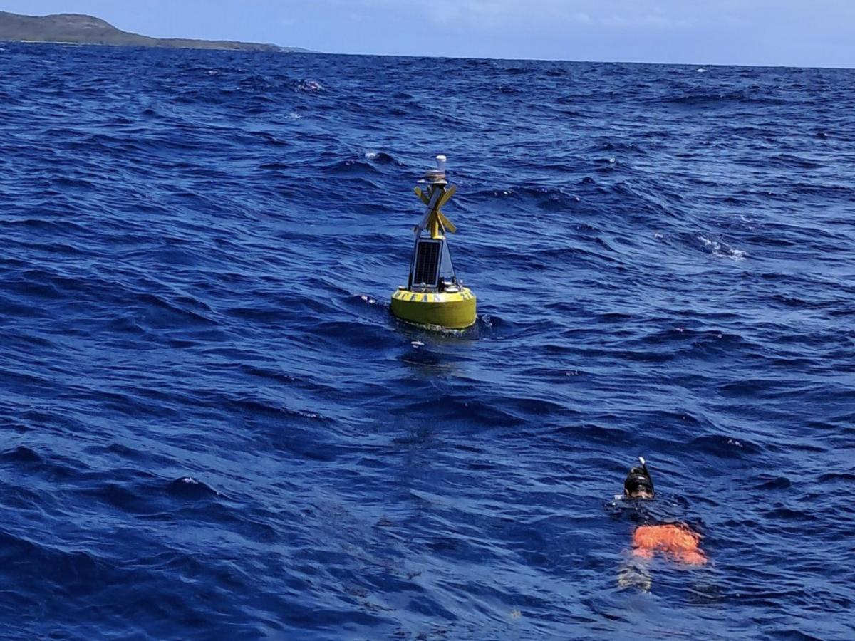 Wave Data Campaign in Martinique Paves the Way for Wave Energy Pilot