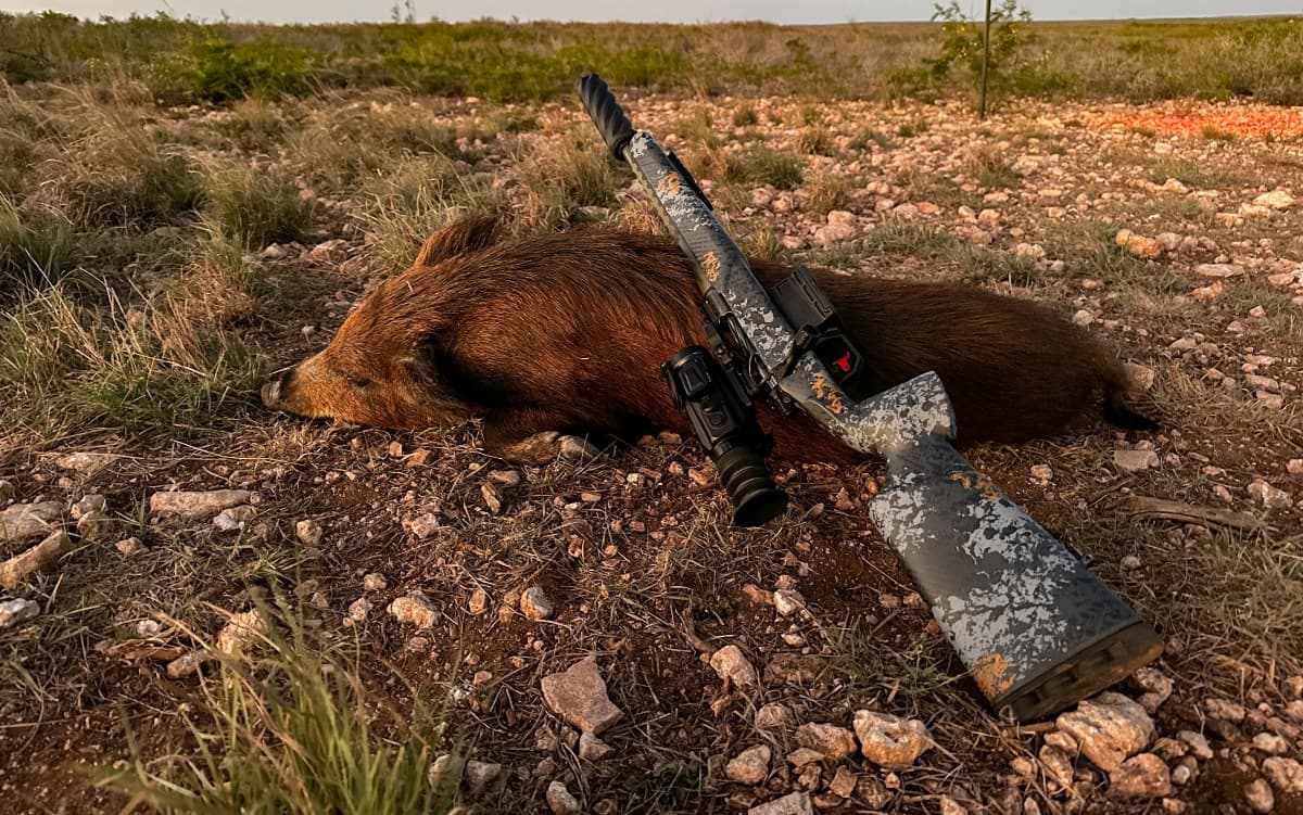 Night Hunting 101: Expert Tips on Gear, Optics, and Tactics (Video)