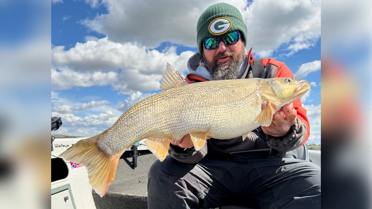 Walleye Fisherman Catches a Pending World-Record Pikeminnow — the Native Fish That Has a Bounty On Its Head