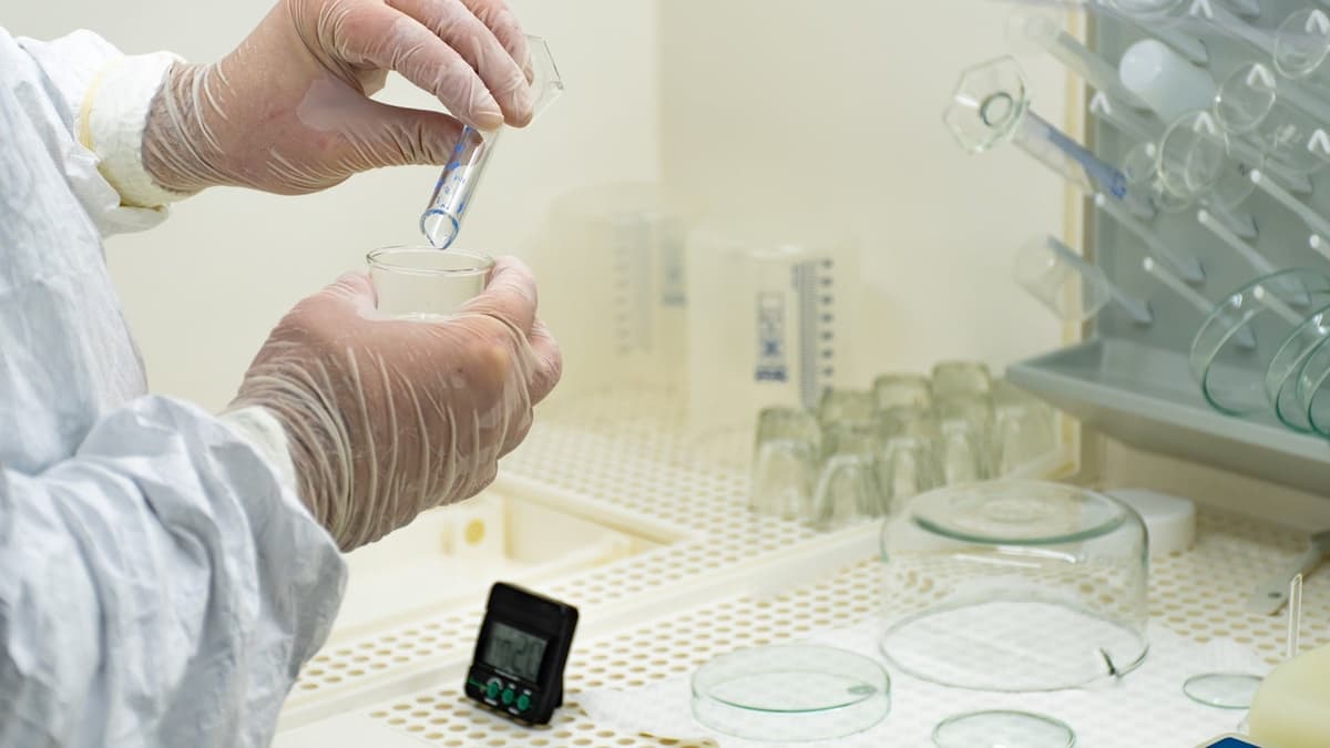 Kyowa Kirin Secures FDA Approval for Crysvita Dosing Update