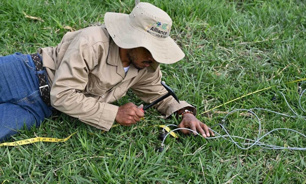 The Editor's Post: Digging Deep Into Soil Health and Regenerative Farming