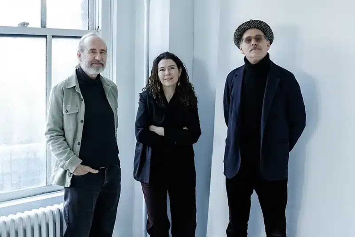 The Sylvie Courvoisier Trio Balance All the Elements