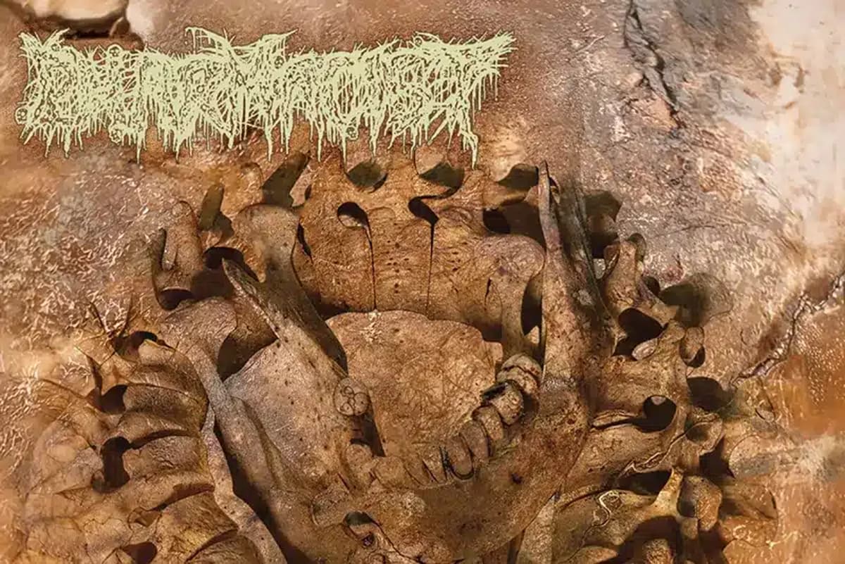 Pharmacist’s Thrash-Leaning of Their New Album Is Powerful