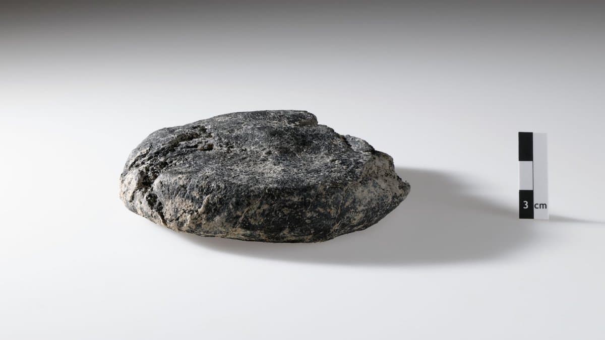 2,000-Year-Old Roman Bread Discovered Under Construction Site