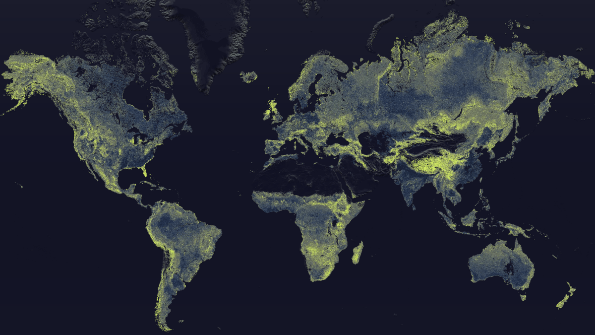 621 Trillion Miles of Fungi Networks Crisscross the Planet