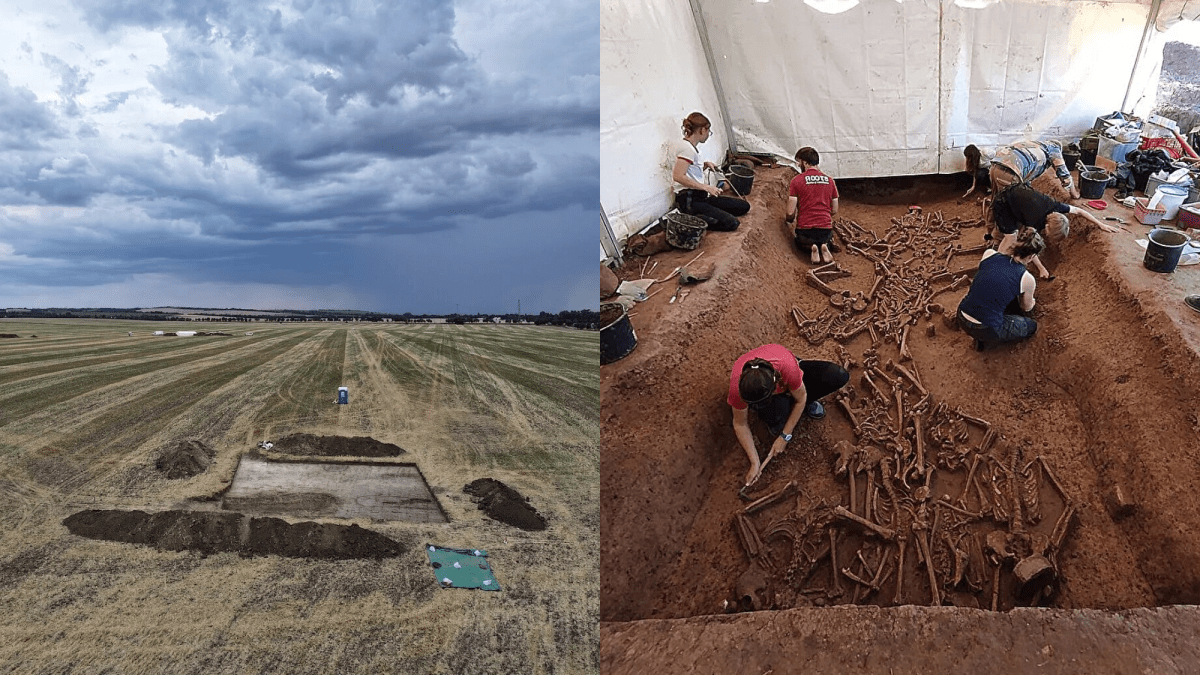 77 Headless Skeletons Found in a Field Date Back 7,000 Years