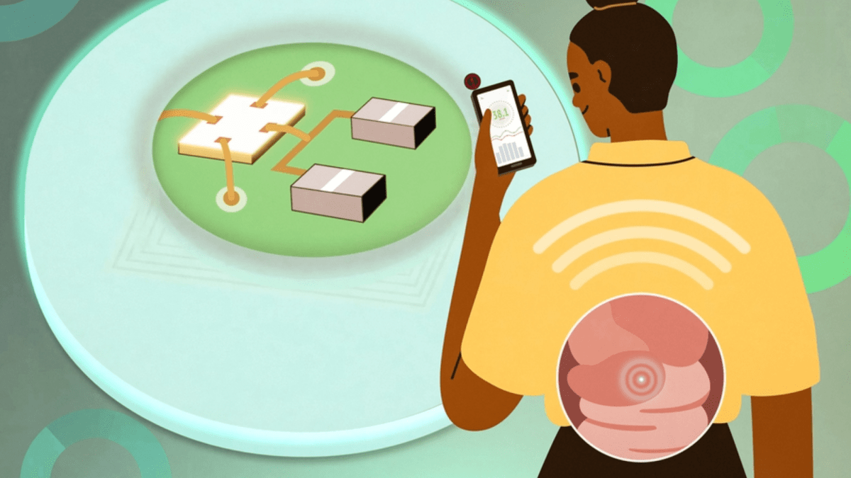 A Berry-Sized Thermometer Measures Body Temp. But You Have to Eat It.
