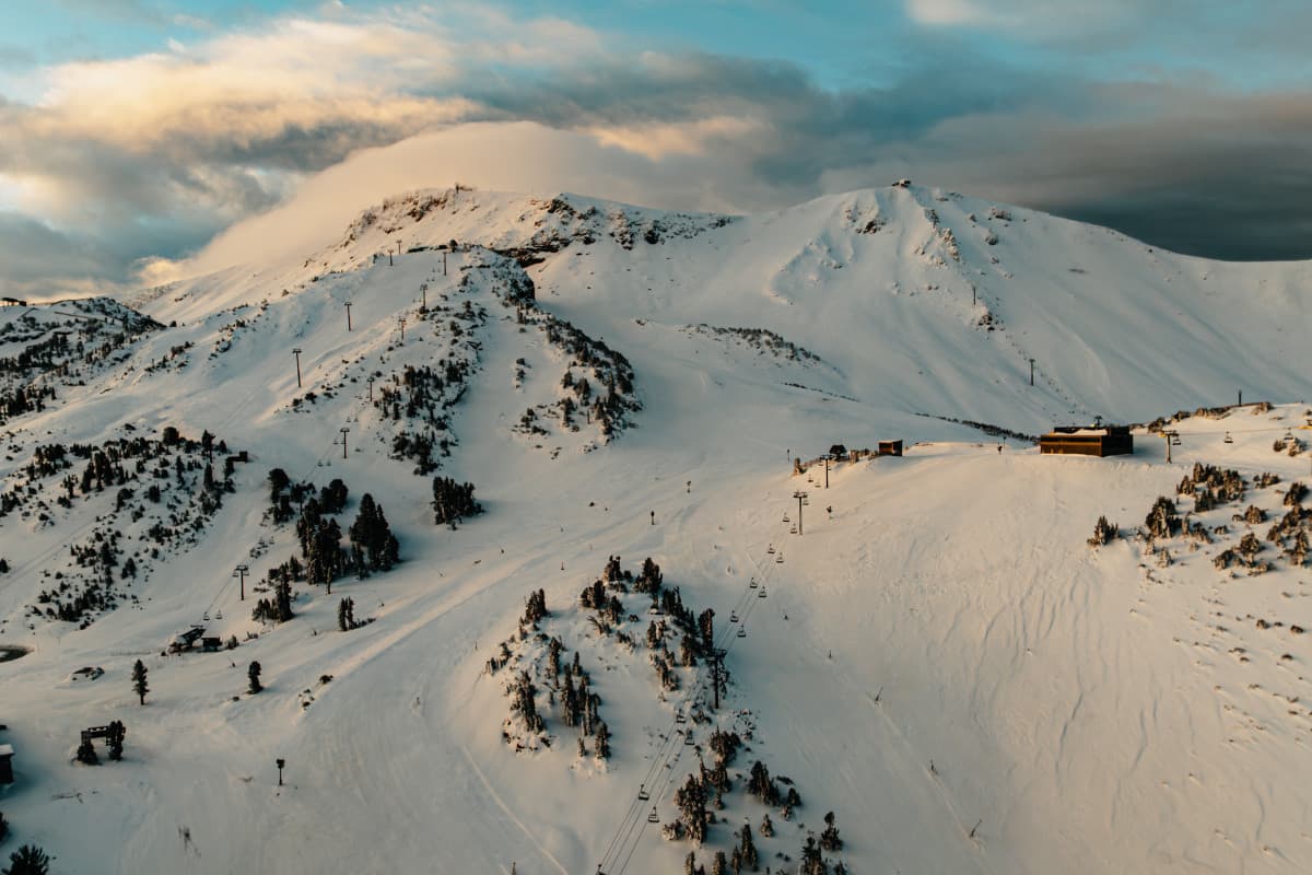 Alterra CEO To Step Down at End of Season