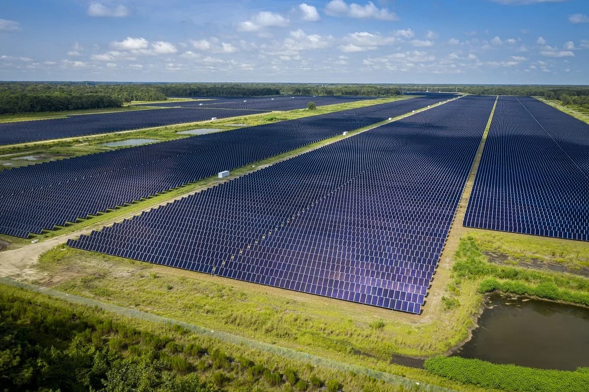 Giant NextEra-Dominion Merger Should Be Met with ‘Caution’ to Avoid Rate Increases, Groups Warn