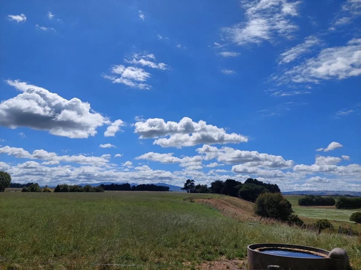 Meridian Energy Bags Consent for 120MW New Zealand Solar Plant