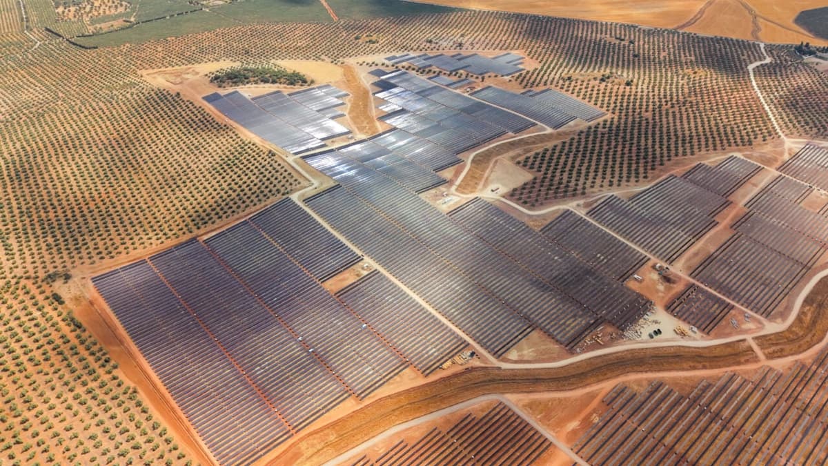 What’s Next in Solar? Tongwei at Intersolar Europe 2026
