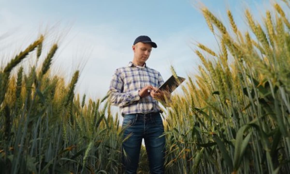 Farmer Finance: What Agriculture’s Working Capital Shift Reveals for B2B